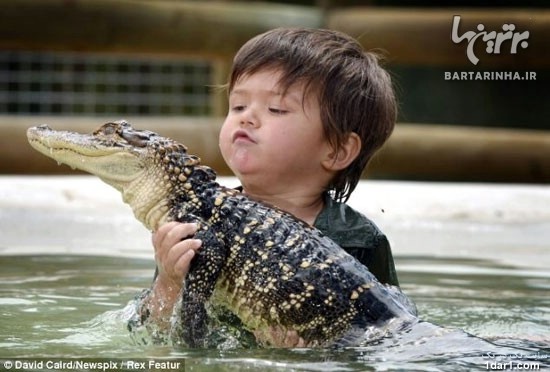 کودک3ساله مسئول قسمت تمساح ها در باغ وحش+عکس