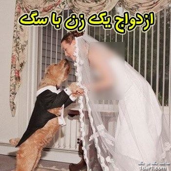 ازدواج  این  زن با سگش! (+عکس ) 