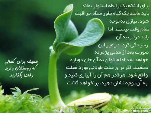 جملات الهام بخش برای زندگی 