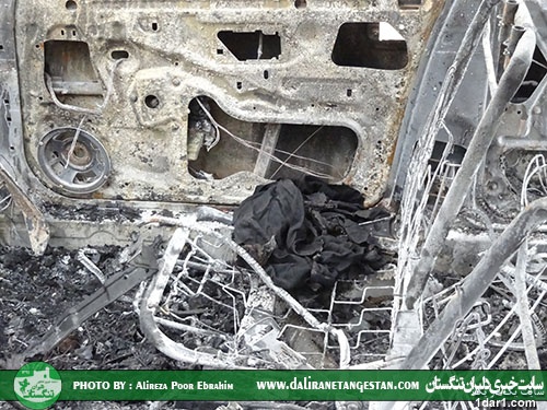 فوت زن باردار در بوشهر بر اثر آتش سوزی پژو 206+تصاویر